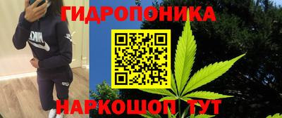 ПСИЛОЦИБИНОВЫЕ ГРИБЫ Лесосибирск