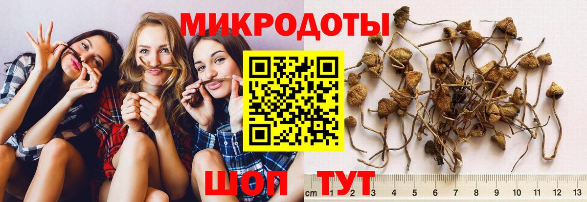 Галлюциногенные грибы MAGIC MUSHROOMS  Вход с VPN  Еманжелинск 
